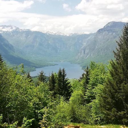 Apartment Ana Bohinj Bagian luar foto