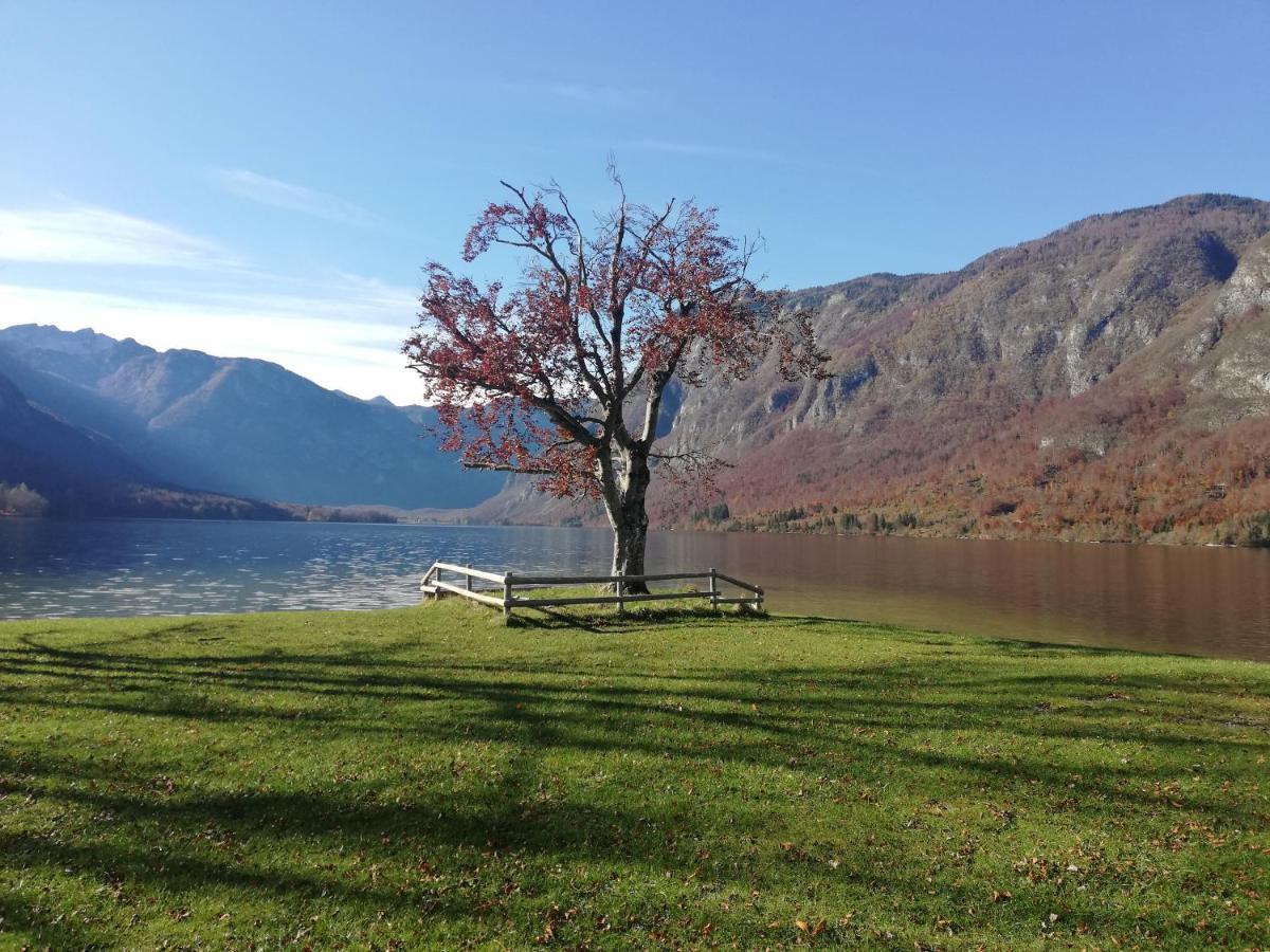 Apartment Ana Bohinj Bagian luar foto