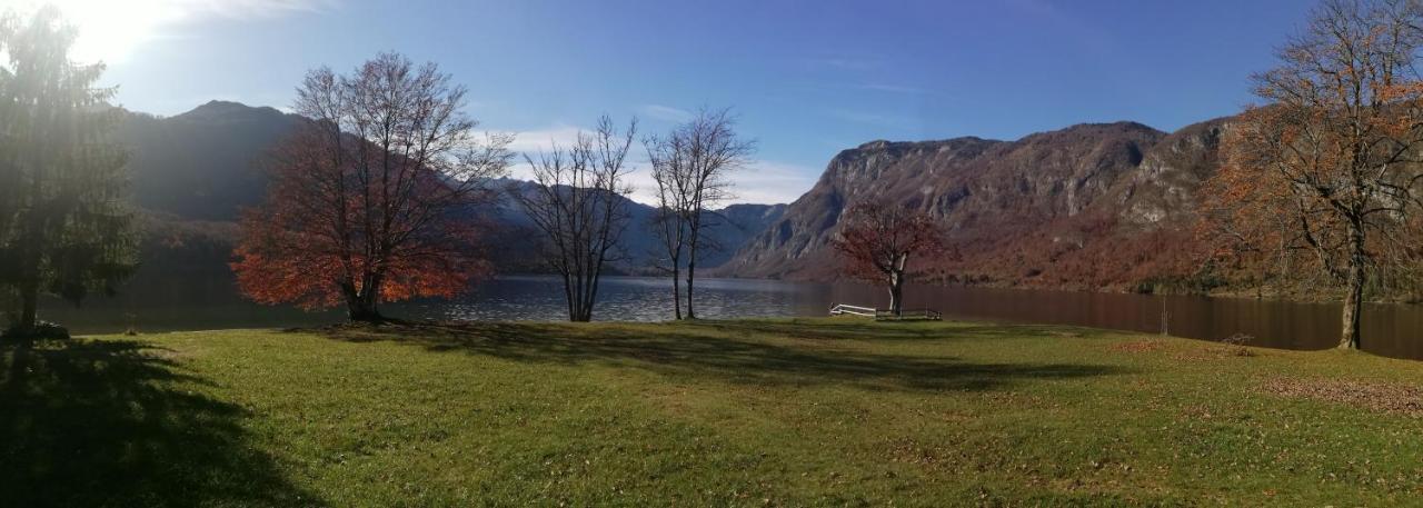 Apartment Ana Bohinj Bagian luar foto
