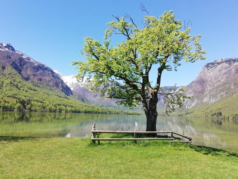 Apartment Ana Bohinj Bagian luar foto