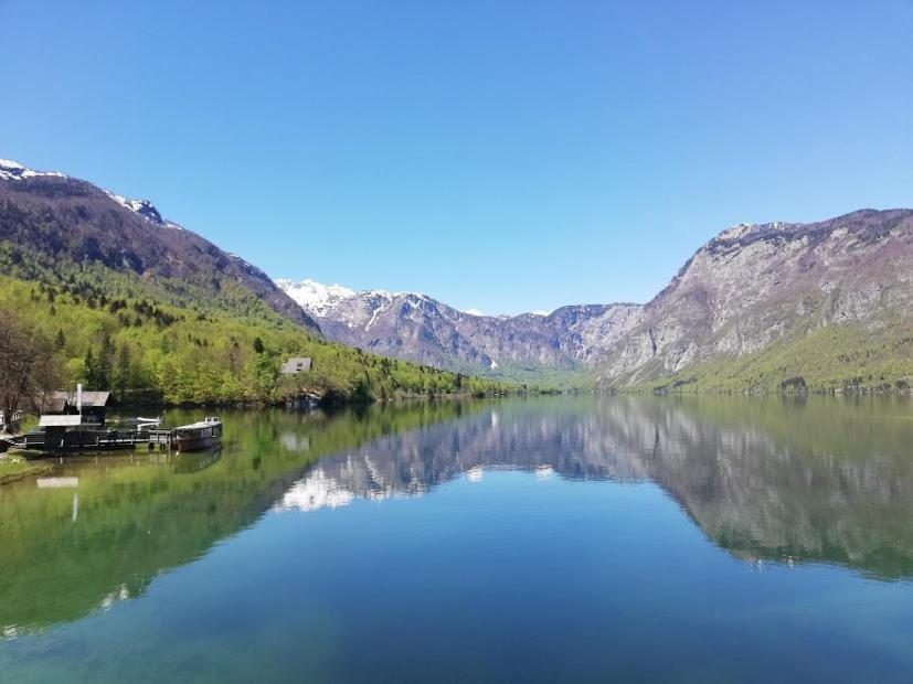 Apartment Ana Bohinj Bagian luar foto
