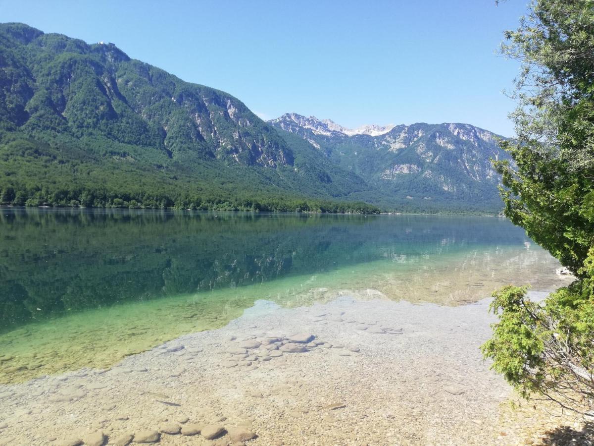 Apartment Ana Bohinj Bagian luar foto