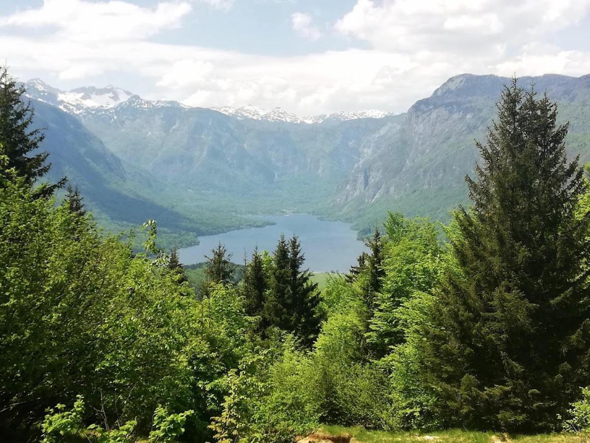 Apartment Ana Bohinj Bagian luar foto