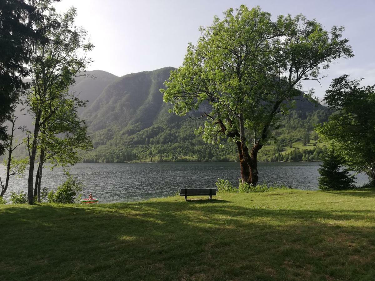 Apartment Ana Bohinj Bagian luar foto