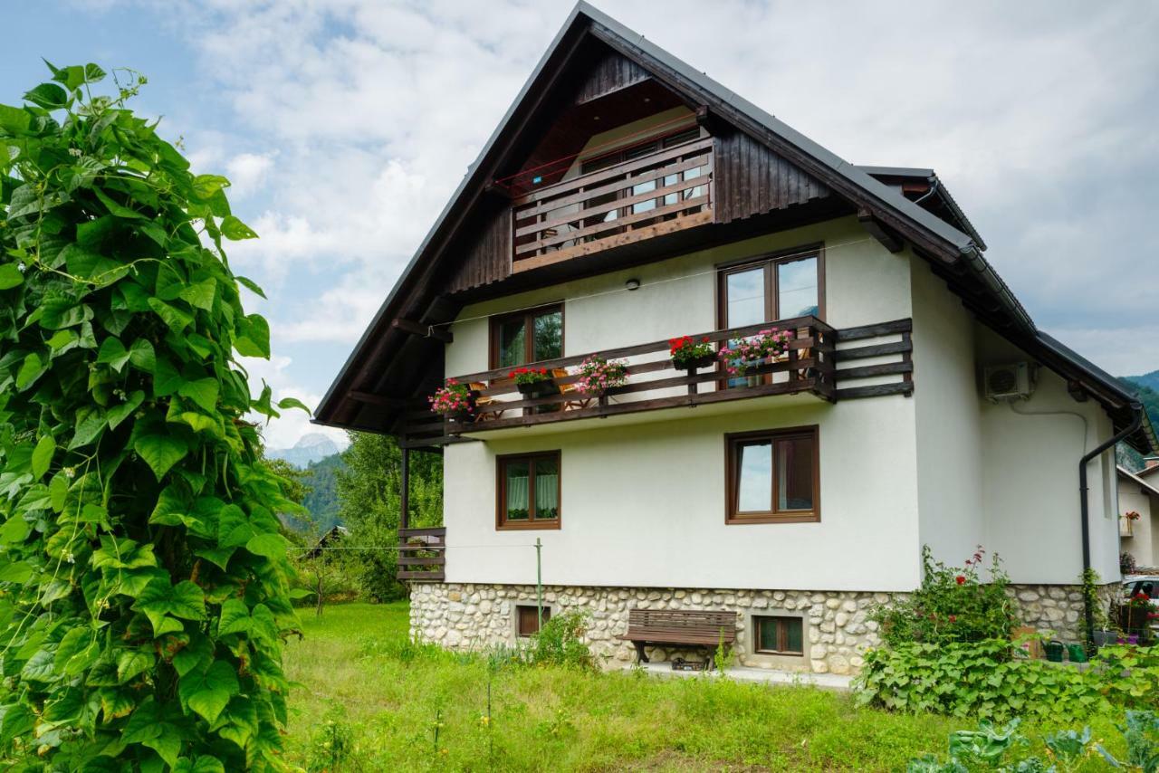 Apartment Ana Bohinj Bagian luar foto